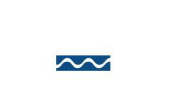 Common Bottlenose Dolphin Icon (5)