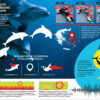 Η Ηχορρύπανση αλλάζει τη Φωνή των Δελφινιών – Άρθρο του Γιάννη Ελαφρού στην Εφημερίδα “Καθημερινή”