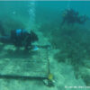 Planting Underwater Gardens of Posidonia seagrass- a new innovative planting process